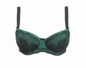 Isabella Biustonosz FANTASIE