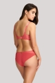 Panache Alexandra Brief 10092 Coral