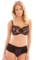 Lois Figi Panache